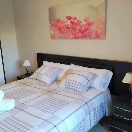 Plaza Compania Jerez Apartment *