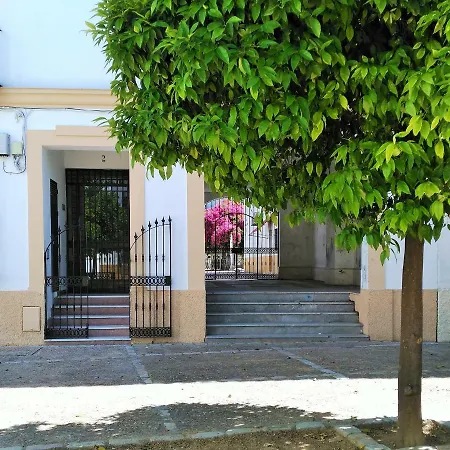 Plaza Compania Jerez 아파트 *